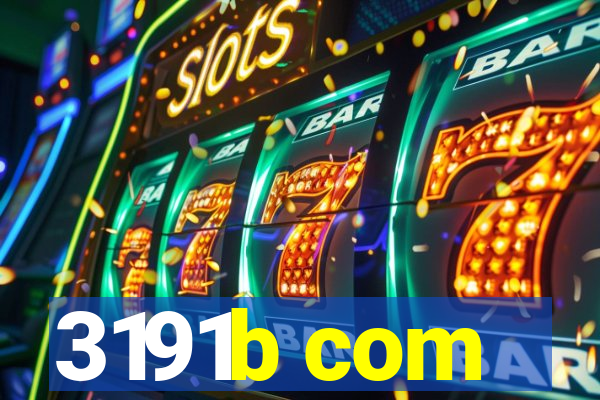 3191b com