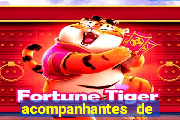 acompanhantes de porto seguro