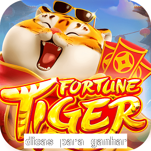 dicas para ganhar no fortune rabbit