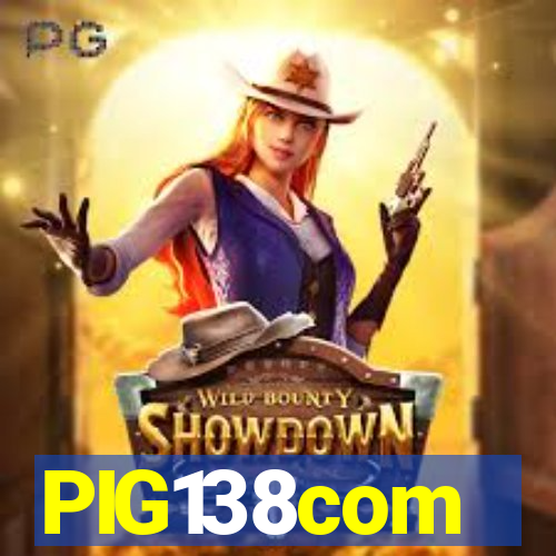PIG138com