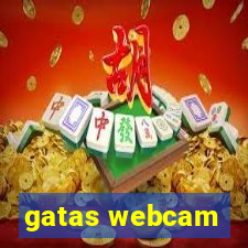 gatas webcam