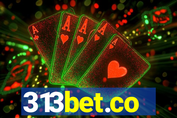 313bet.co