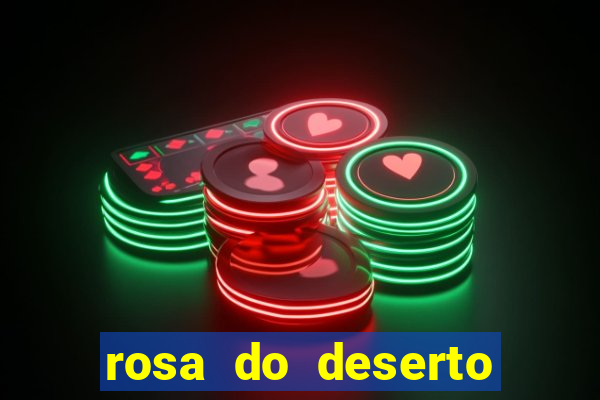 rosa do deserto lilac frost