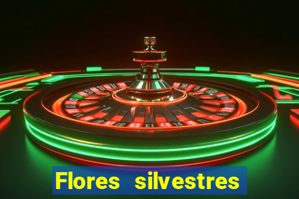 Flores silvestres brasileiras brasileiras flores silvestres nomes e imagens