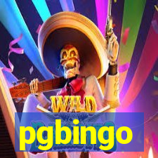 pgbingo