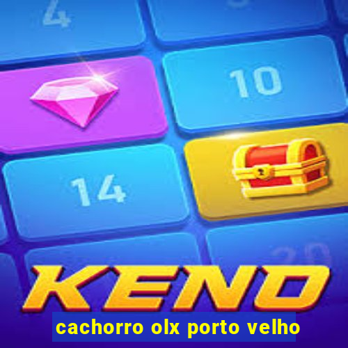cachorro olx porto velho
