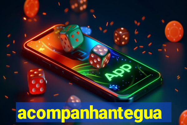 acompanhanteguanambi