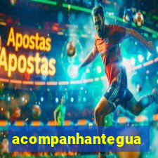 acompanhanteguanambi