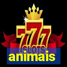 animais-pg.com