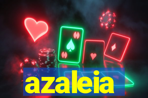 azaleia-br.com
