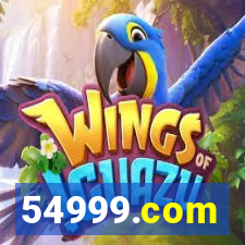 54999.com