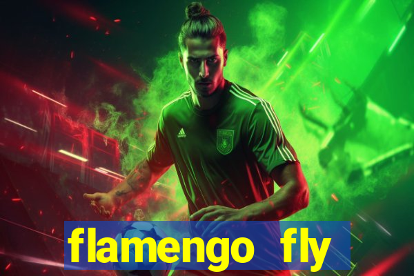 flamengo fly emirates ultimas noticias