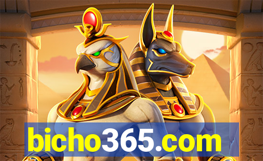 bicho365.com