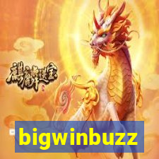 bigwinbuzz