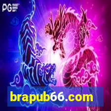 brapub66.com