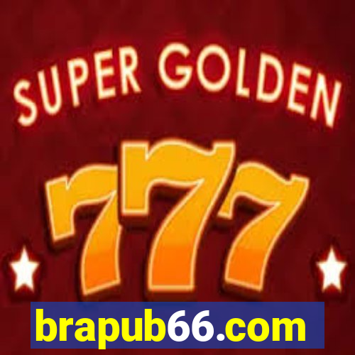 brapub66.com