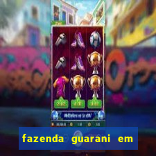 fazenda guarani em nova andradina ms