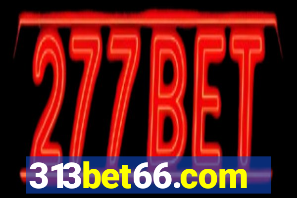 313bet66.com