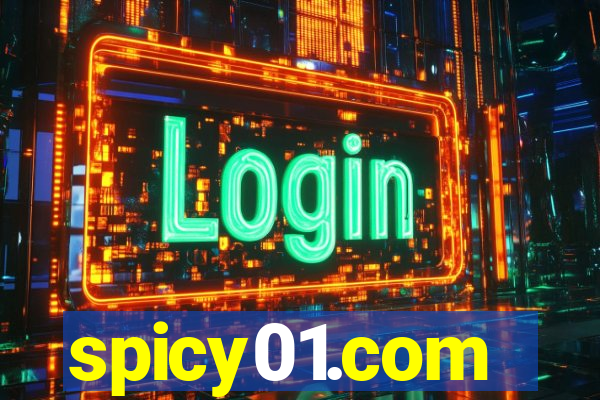 spicy01.com