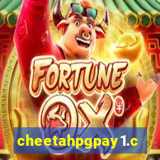 cheetahpgpay1.com