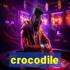 crocodile-pg.com
