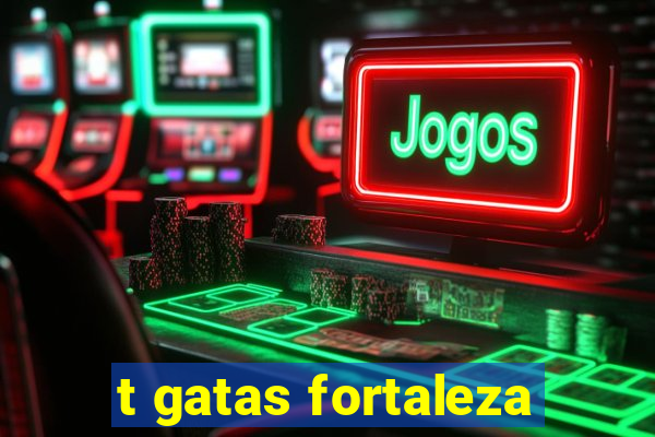 t gatas fortaleza