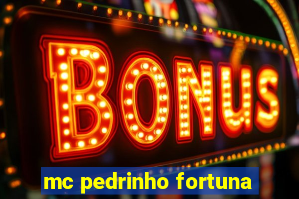 mc pedrinho fortuna