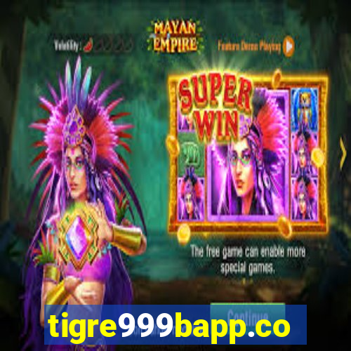 tigre999bapp.com