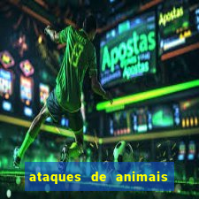 ataques de animais selvagens a humanos fatais