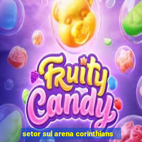setor sul arena corinthians