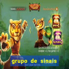grupo de sinais trader telegram