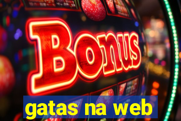 gatas na web