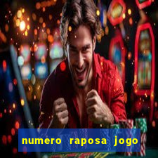 numero raposa jogo do bicho