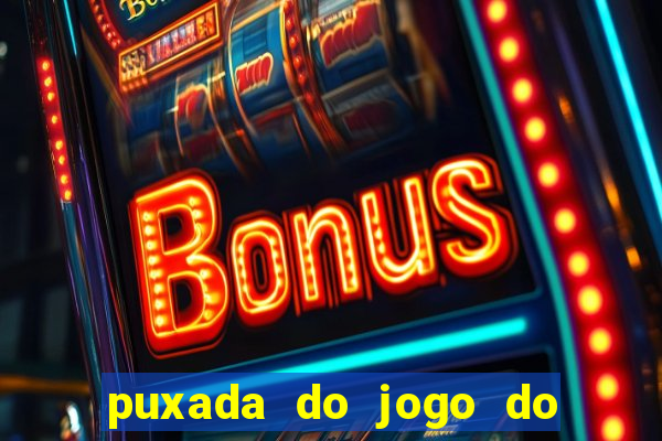 puxada do jogo do bicho da sueli