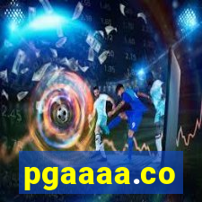 pgaaaa.co