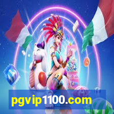 pgvip1100.com