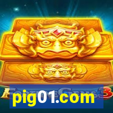 pig01.com