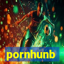 pornhunb