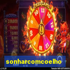 sonharcomcoelho