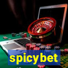spicybet-5.com