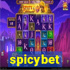 spicybet-5.com