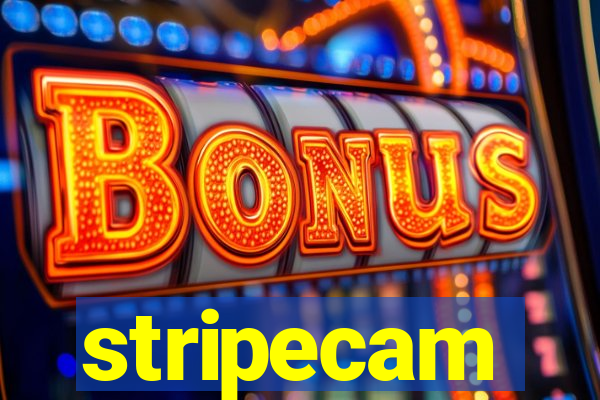 stripecam