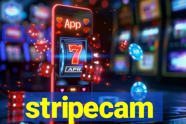 stripecam