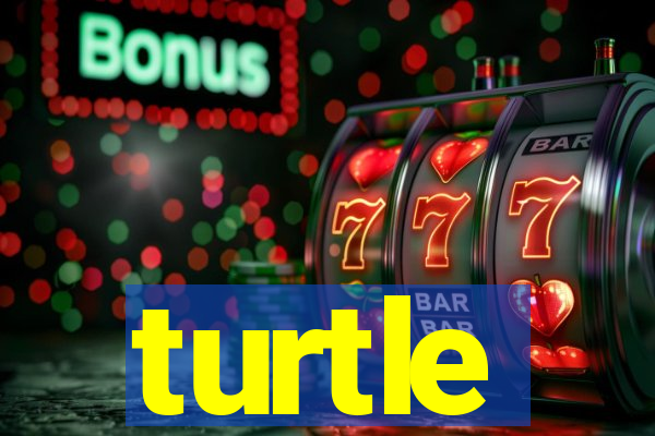 turtle-ty.com