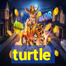 turtle-ty.com