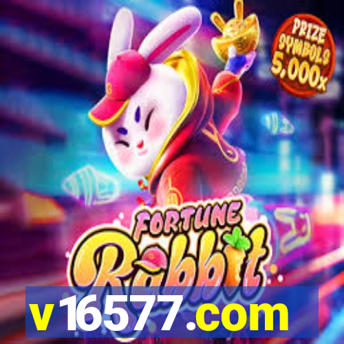 v16577.com