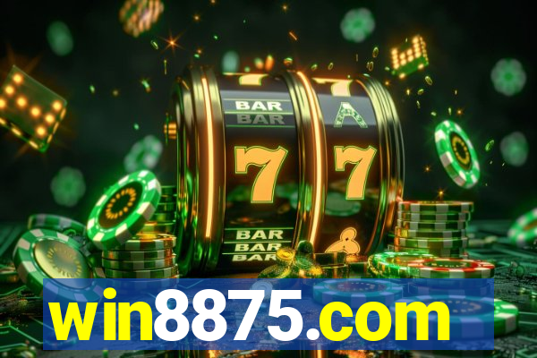 win8875.com