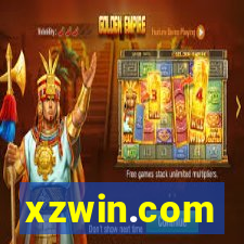 xzwin.com