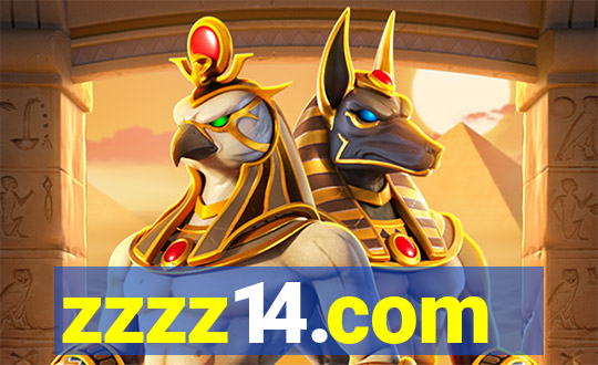 zzzz14.com